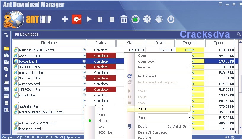 Ant Download Manager Crack Settings