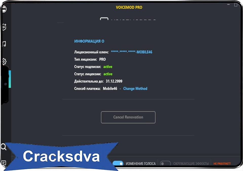 Voicemod Pro Crack Interface